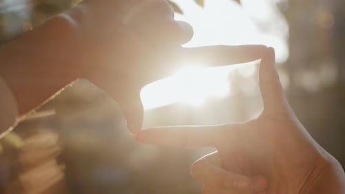 Hands Framing Sunlight in a Green Outdoor Setting