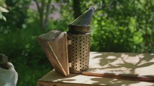 Beekeeper Preparing Bee Smoker at Apiary. Close Up