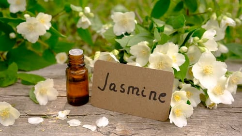 Foco seletivo de óleo essencial de jasmim e flores