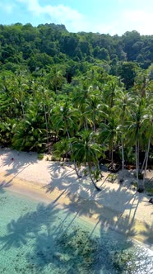 Serene Beach Paradise on Koh Kood Island in Thailand with Palm Trees and Clear Waters