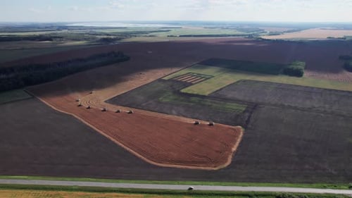 Combine Harvesting Aerial View of Agricultural Machine Collecting Golden Ripe Wheat Into Truck
