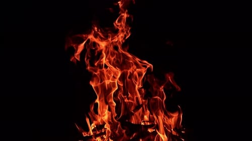 Big campfire burning in the total darkness. Tree branches burn in the fire at backdrop of darkness.