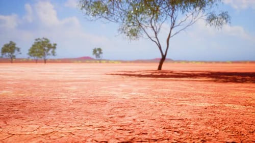Desert Landscape with Trees and Panning Camera Movement