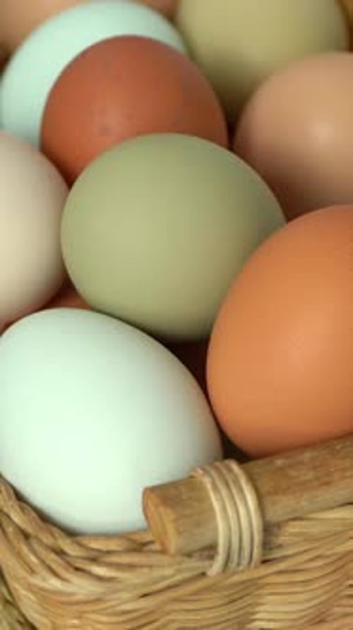 Basket of Color Raw Chicken Eggs Natural Farm Food Easter