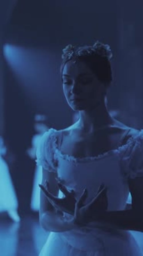 ballerina stand on stage in a frozen pose during a ballet performance. Vertical format for the phone