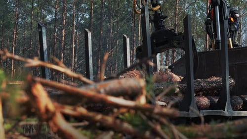 A close-up view of a logging machine's grapple arm, lifting a pile of logs in a forest clearing