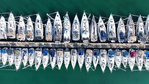 Yachts in the marina