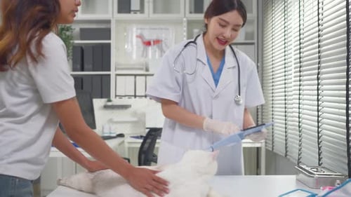 Asian pet owner brings her small cat to veterinary clinic for check up.