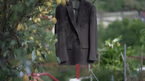 Suit jacket hanging from a lemon tree branch in a lush garden setting.