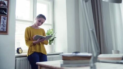 Woman Reading Book by Bright Window in Apartment