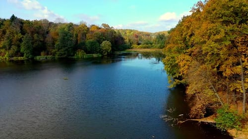 Colorful trees in autumn forest on the river bank. Family having picnic at the waterfront.