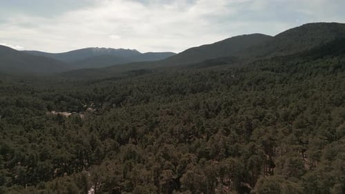 Aerial view of the region of Navacerrada in Madrid