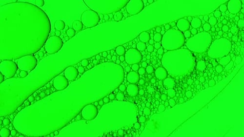 abstract oil drops background in green liquid for cosmetic treatments Hydroge