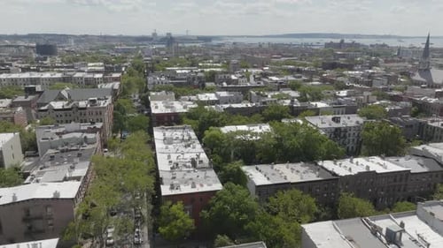 Trees line the streets of the quaint Cobble Hill neighborhood in Brooklyn