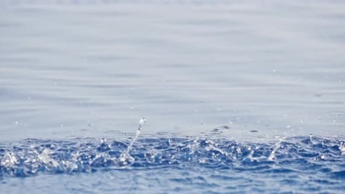 Water Drop Splash