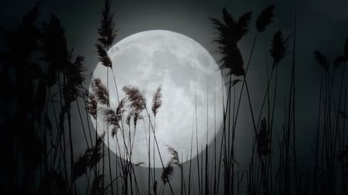 La pleine lune est visible à travers les nuages et l'herbe est une pleine lune