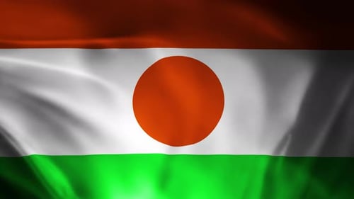 Waving National Flag of Niger