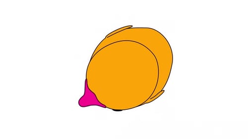 Cute Flat Design Animated Duck Wiggles