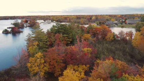 The astonishing autumn forest around a calm lake.