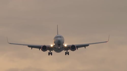 Footage of the Plane Overhead