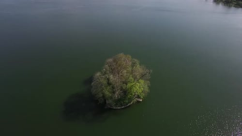 Cinematic Aerial View of Tree Island in the Middle of a Lake Landscape Scenery