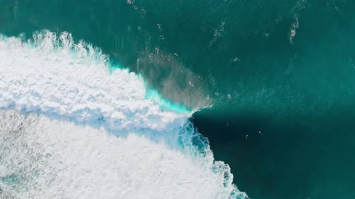 Drone Top Down View of Large Barrel Waves Perfect Surfing Waves in Ocean and Surfers in Water