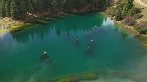 Camera Moving Backwards Showing Hikers Walking Near Turquoise Lake