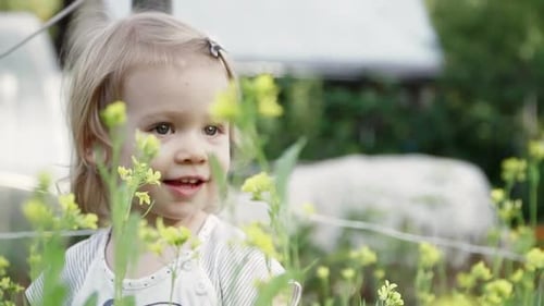Little Happy Girl Walks in Summer Meadow in Yellow Flowers