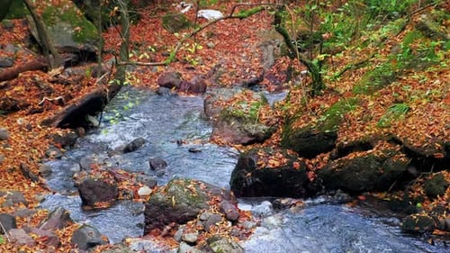 Autumn River (2K)