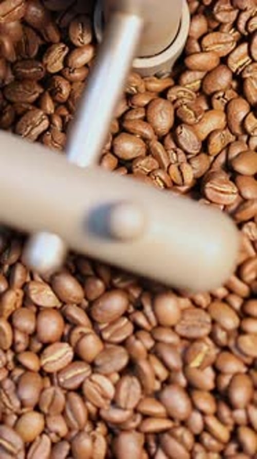 Coffee Beans Stirring in Machine Close Up