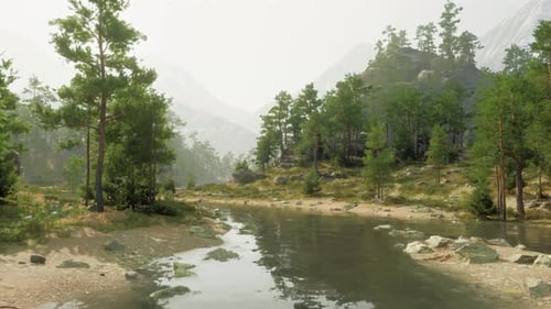 Ein ruhiger Fluss, der durch einen leuchtend grünen Wald fließt