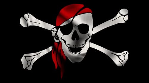 Flagge der Piraten