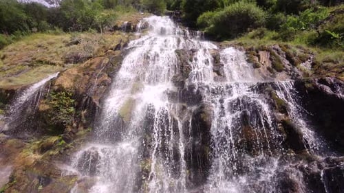 Droplets fall, water flows down from moss, streams and waterfalls, mountain waterfalls