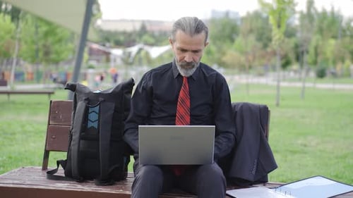 Adult Working on Laptop in the Park