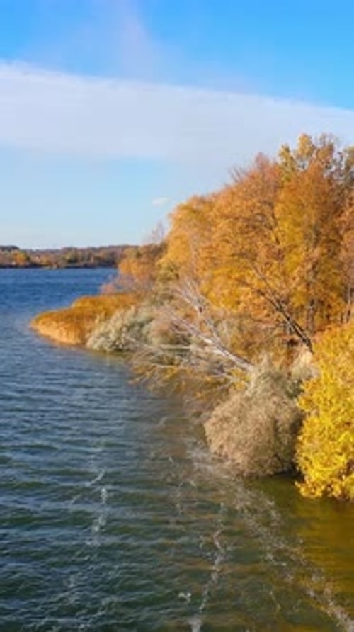 Aerial view of autumn landscape and river. Aerial drone view of large river and forest during autumn