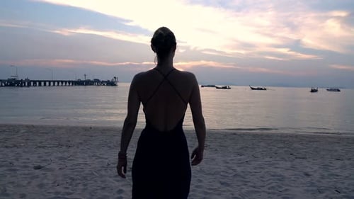 Silhouette of Woman Walking on Beach During Sunset, Super 240