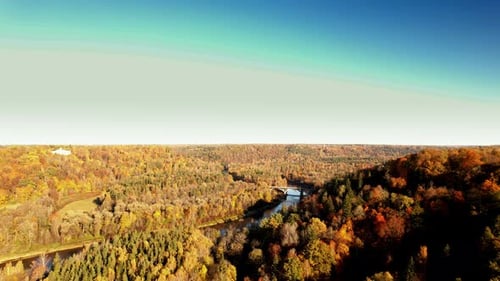 Aerial view of autumn foliage in a vibrant forest landscape