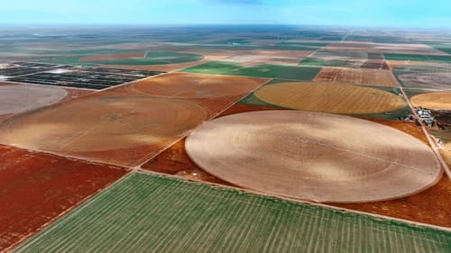 Squares and circles of diverse colors on the vast field.