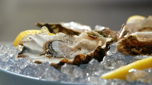 Fresh Raw Oysters with Ice French Restaurant Mediterranean Healthy Sea Food Gourment Luxury Cuisine