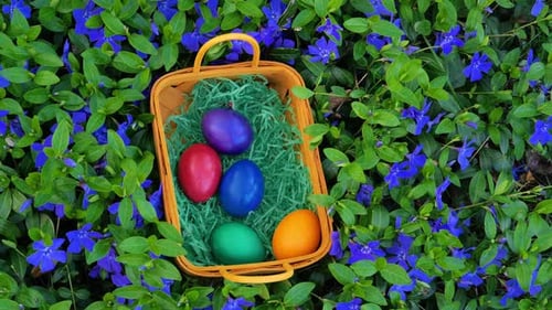 Easter Eggs Placed in Basket Among Purple Flowers