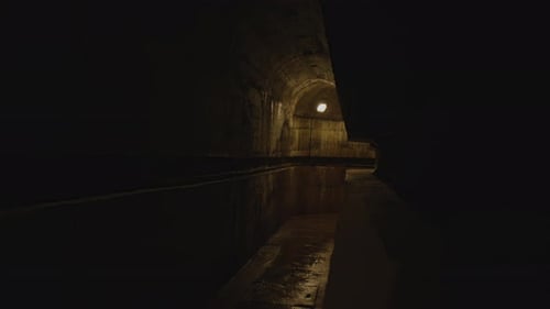 A dark, wet tunnel illuminated by single overhead light, with reflective surfaces and arched design