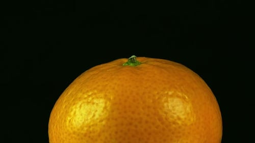 Extreme isolated fruit close up: Clementine orange revolves on black