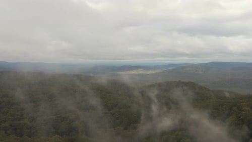 Aerial pan of fog gracefully flowing over the beautiful canopy of trees in the natural landscape.