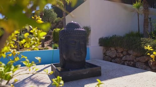 Buddha Head in Asian Garden