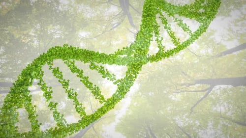 Animation of 3d green dna strand spinning over trees