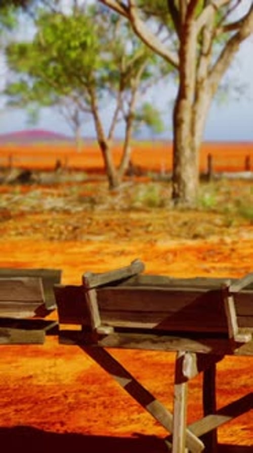 Traditional Old Wooden Aqueduct in Savanna