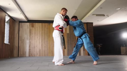 Two Athletes Practicing Martial Arts Moves Indoors