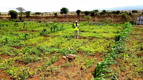 Rural agricultural farms in Kenya. Drone pilot land survey. Smart Agriculture technology.