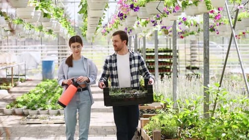Walking and holding flowers. Man working in garden center. Successful employee is in a bright greenh