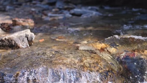 Clear Mountain Stream Water Flowing Over Rocks